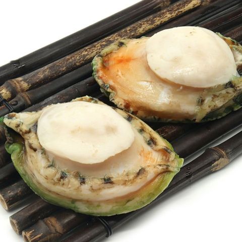 Australian Greenlip Abalone