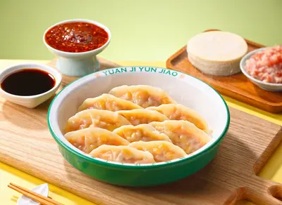 Chicken Dumplings