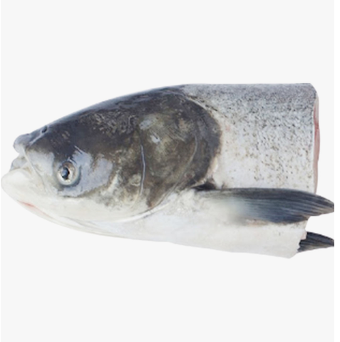 Large Fish Head 1pc