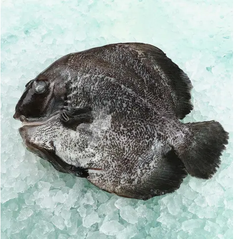Frozen Farmed Round Batfish