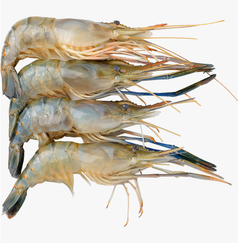 King Prawn Approx. 600g