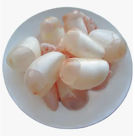 Fish Swim Bladder Approx