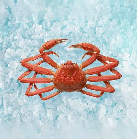 United Ocean Canadian Frozen Boiled Zuwai Snow Crab 1 Piece