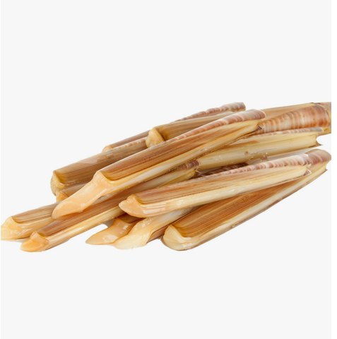 King Razor Clam Approx