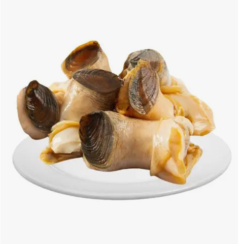 Frozen Conch (Big Size) Approx. 1lb